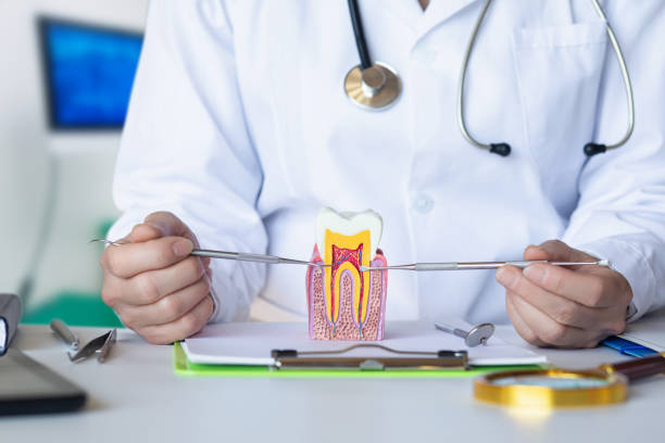Best Emergency Root Canal Treatment in Atchison, KS